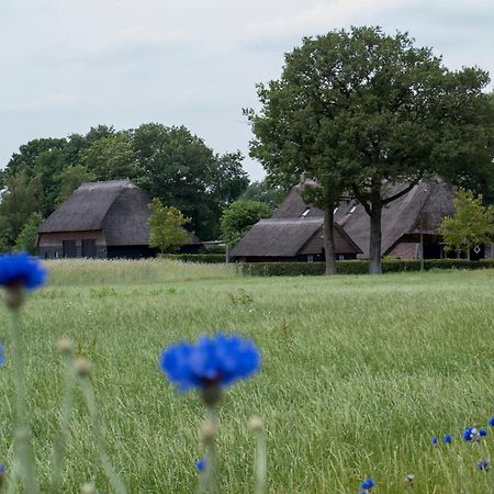 Gastenverblijf Lheederhof Dwingeloo Exterior foto